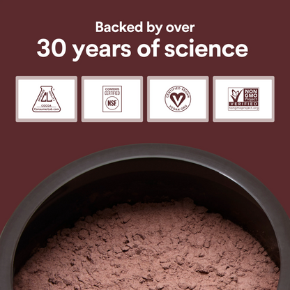 500mg Cocoa Flavanols Powder